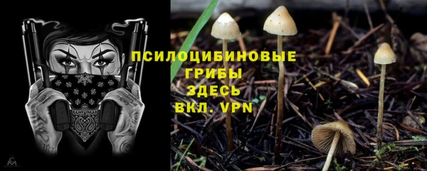 марки nbome Карпинск