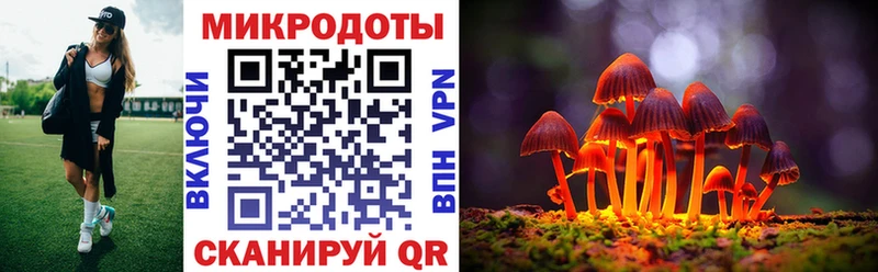 Купить где  Волосово  Галлюциногенные грибы GOLDEN TEACHER 